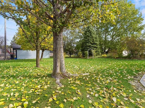 Backyard from driveway.