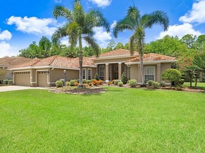 12029 Brewster Dr, Tampa, FL, 33626