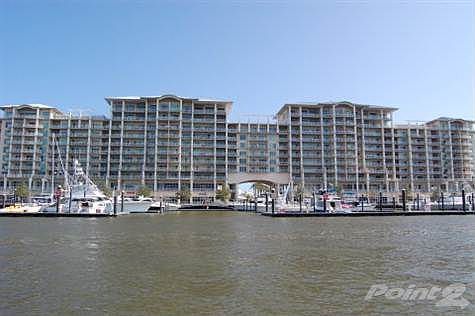 View from Water