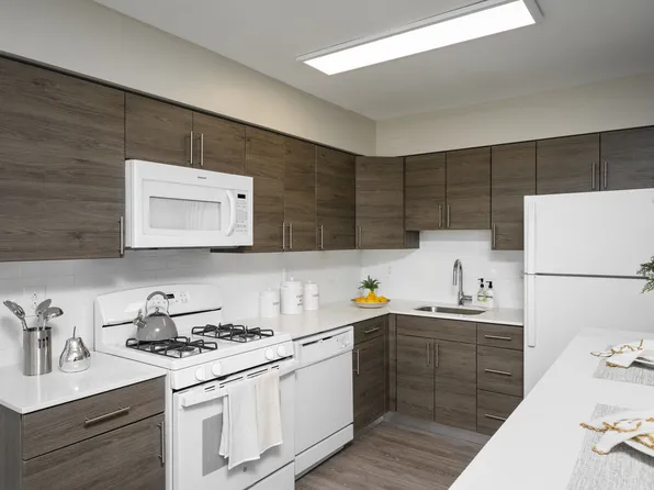 Chestnut Terrace Apartments