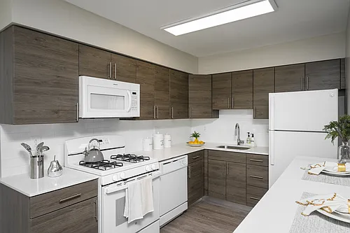 Chestnut Terrace Apartments Photo 1