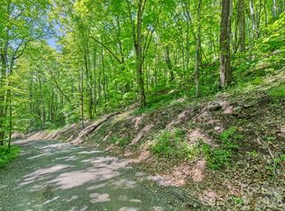 0 Rustic Rd, Waynesville, NC 28786