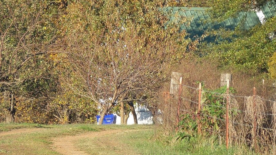 2nd image of 5310 Highway 59 W