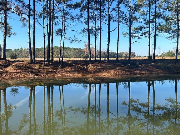 5th image of State Route 85 Lake