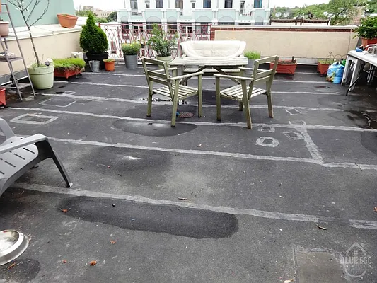 Rented by Blue Egg Realty Corp | media 34