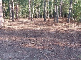 LOT 1 Pee Dee School Rd, Marion, SC 29571