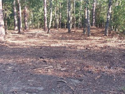 Lot1 Pee Dee School Rd., Marion, SC, 29571
