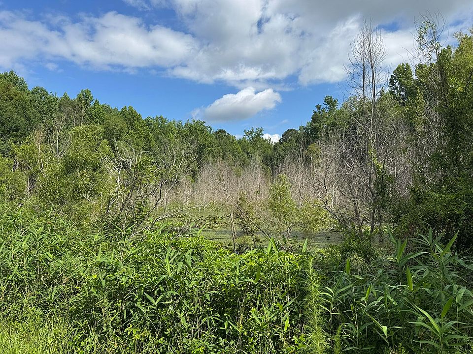 2nd image of Festival Trail Rd