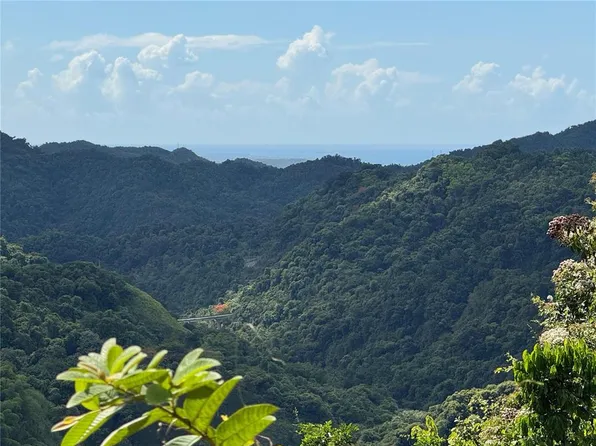 Carr 511 Anton Lot 5, Ponce, PR 00731