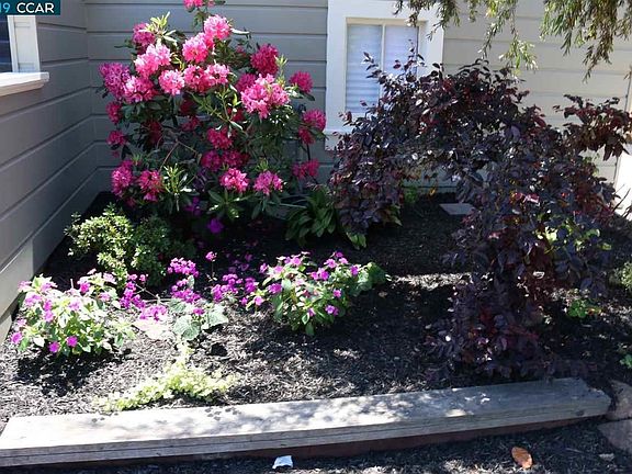 Easy to maintain. Oakland native plants.