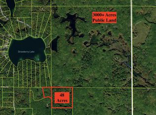 12983 Yellow Gate Rd, Evart, MI 49631