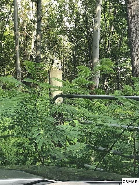 2nd image of 0 Baskins Creek Rd