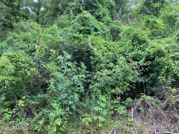 Marcia Ave, Abbeville, LA 70510