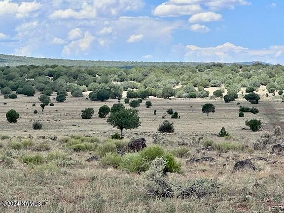 3rd image of 643 Cortez Ranch Rd