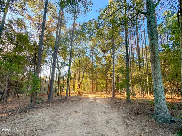 Mount Leopard Rd, Flora, MS 39071