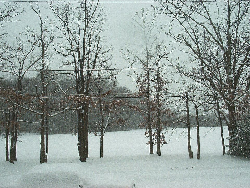 View from front Window