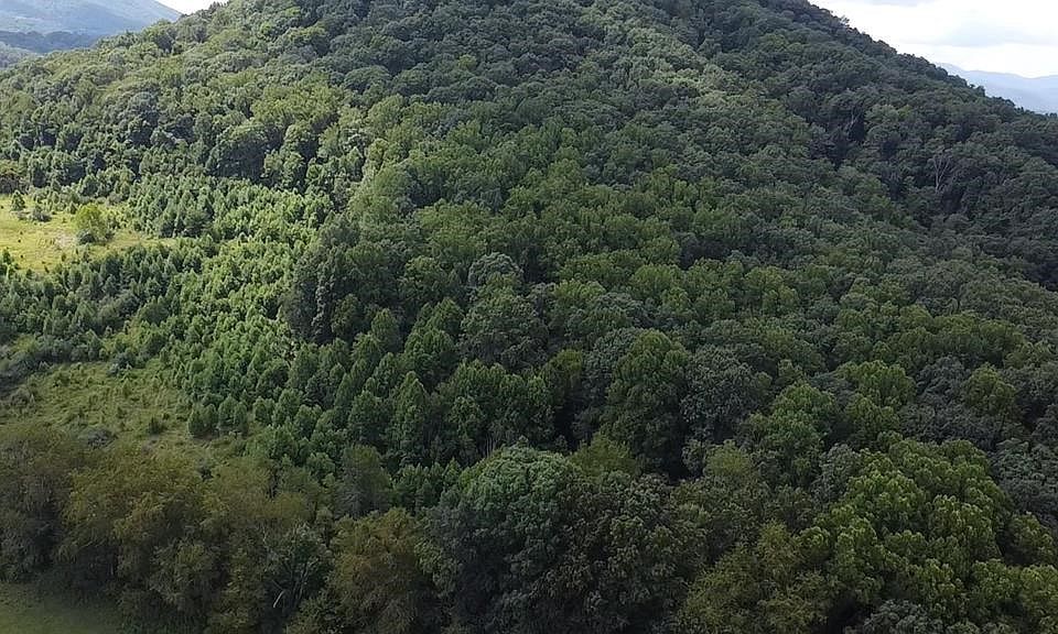 2nd image of 0 Scenic Ln