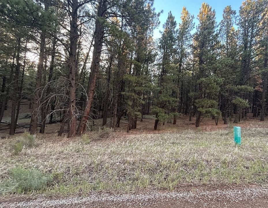 2nd image of 19 Valley Rd