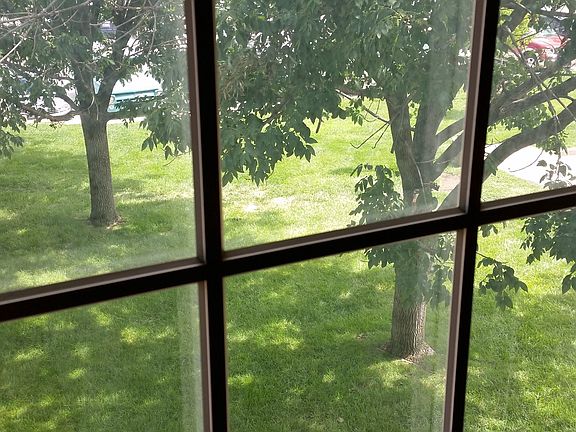 View out Living Room window