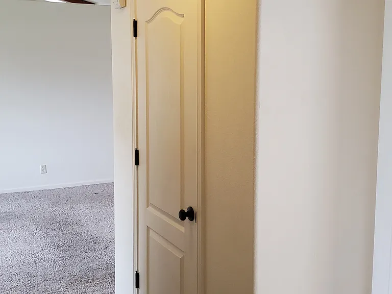 805 Timber Buck Ct — Photo 18