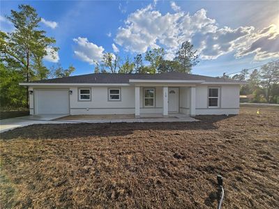 19 Bay Court Pass, Ocklawaha, FL, 32179