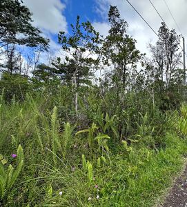 Lot 29, Ocean View, HI, 96737