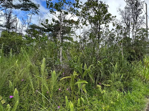 Lot 29, Ocean View, HI 96737