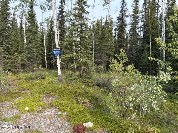 4 Butch Kuth Ave, Tok, AK 99780