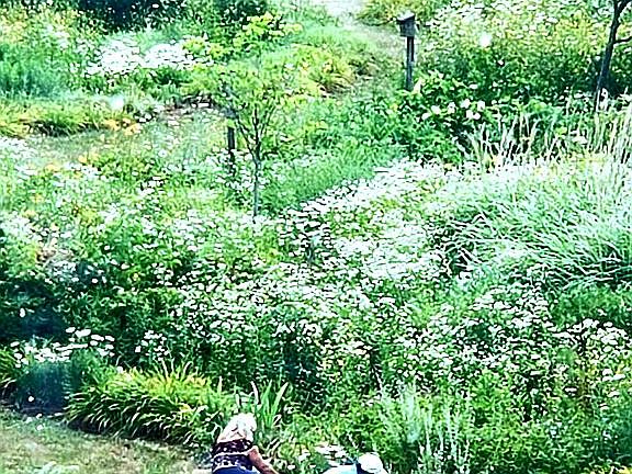 Apartment View from Kitchen/LR