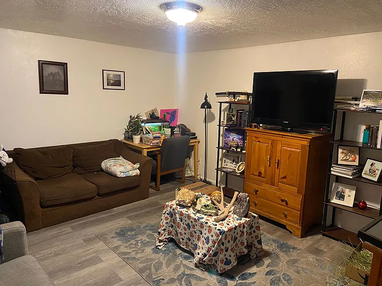 473 S State St #316 — Photo 4