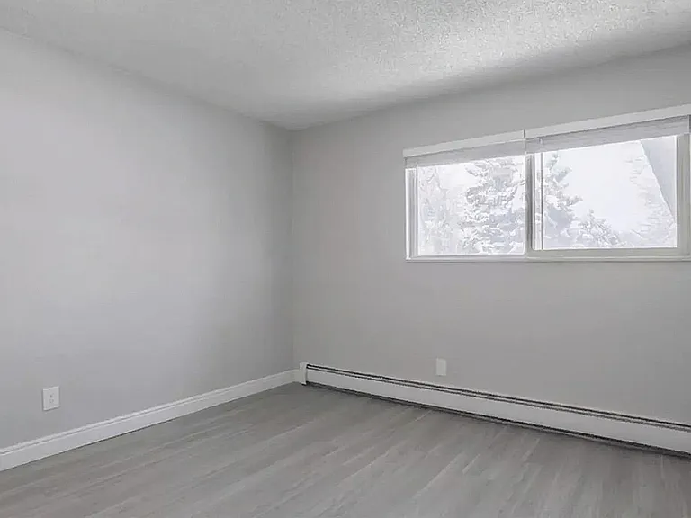 Bright, spacious room with modern flooring and large window, offering a serene view.
