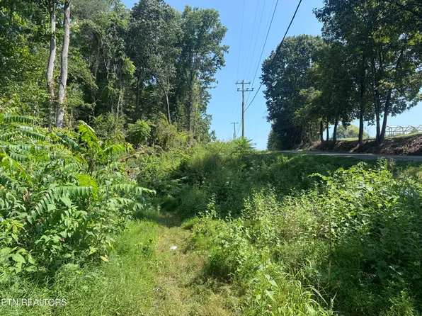 New Corinth Rd, Rutledge, TN 37861