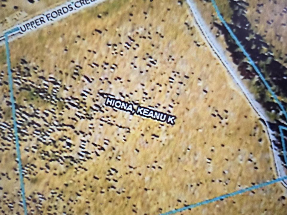 1st image of Upper Fords Creek Rd