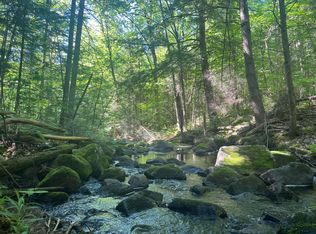 161 Riddle Rd, Mineville, NY 12956