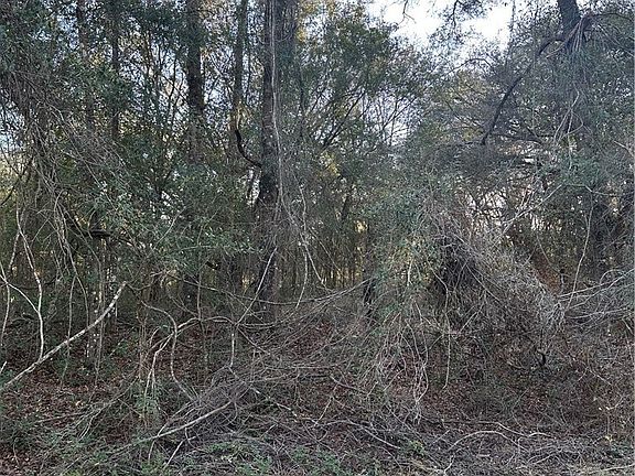 5th image of 8276 N Elida Ave