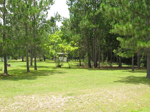 4th image of 2664 Lake Virginia Dr