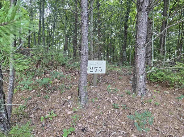 275 Kincaid Pl, Mill Spring, NC 28756