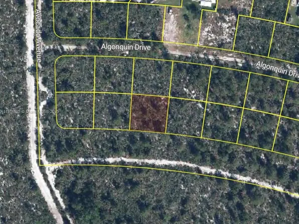 2224 Carla Ave, Sebring, FL 33875