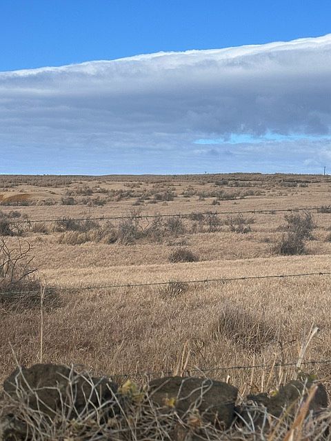 2nd image of LOT 9 Lot 9