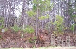 2nd image of 0 Southern Boulevard