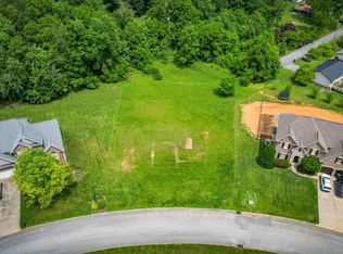 160 Sunset Meadows Ct, Gray, TN 37615