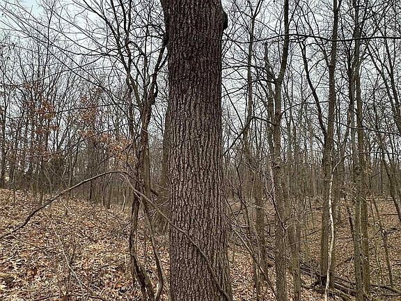 4th image of 0 N Seven Hills Rd