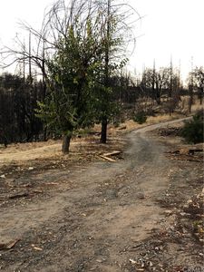 237 Eagle Child Rd, Oroville, CA, 95966