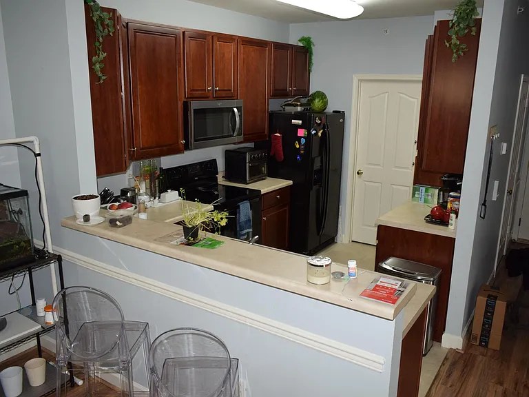 11276 Hyde Pointe Ct #11276 — Photo 2