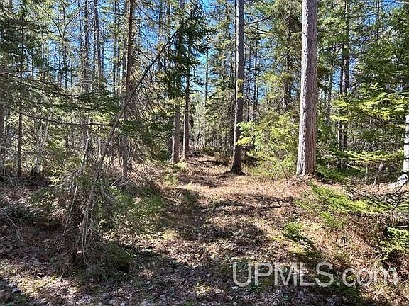 5th image of Little Rice Lake Rd Unit 61
