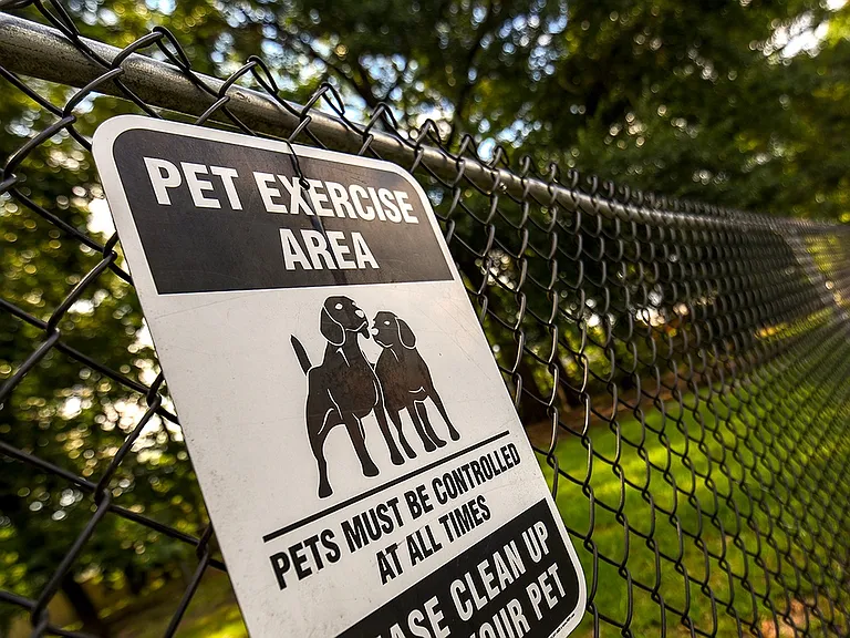 Bark Park
