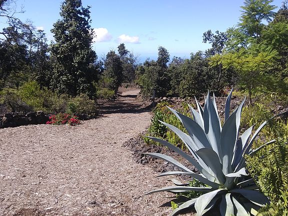Driveway into second acre