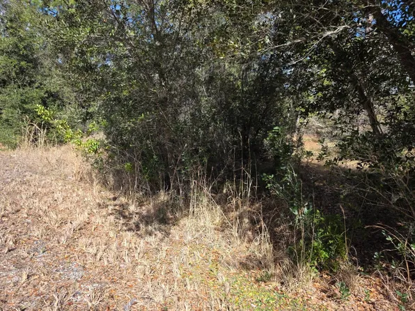 1519 Summer Rd, Lake Placid, FL 33852