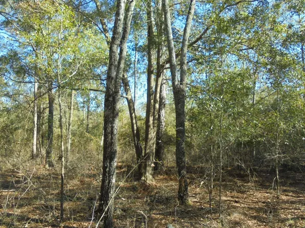 105th Dr, O'Brien, FL 32071