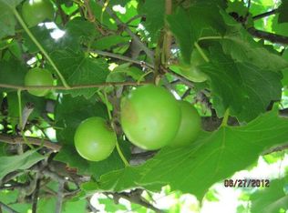 6988 Old Madison Rd, Quitman, GA 31643